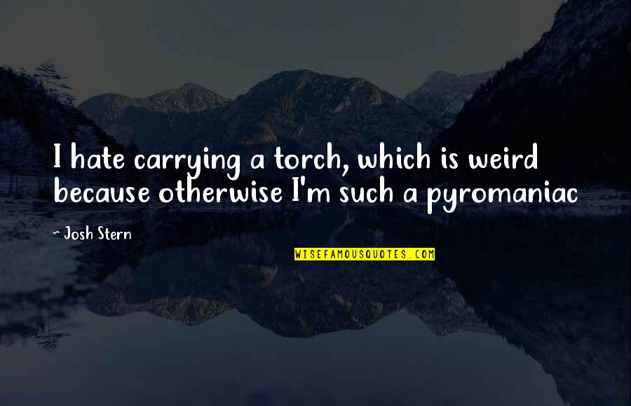 Overstock Coupons Quotes By Josh Stern: I hate carrying a torch, which is weird