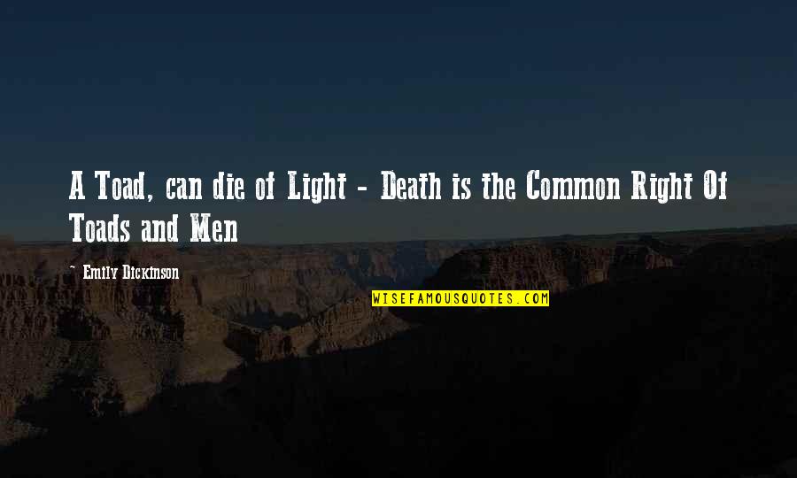 Overstocking Fish Tank Quotes By Emily Dickinson: A Toad, can die of Light - Death Overstocking Fish Tank Quotes By Emily Dickinson: A Toad, can die of Light - Death