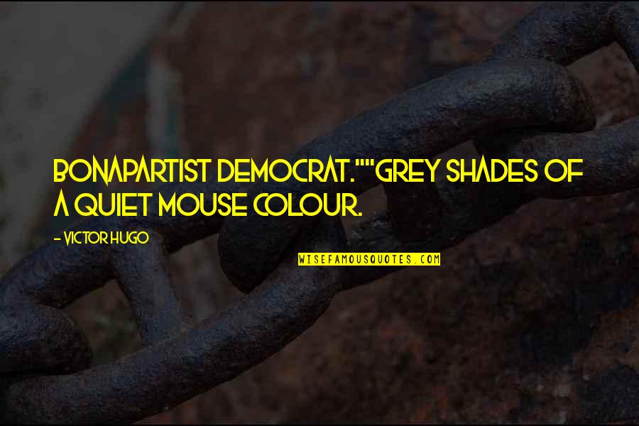 Overtuigingen Quotes By Victor Hugo: Bonapartist democrat.""Grey shades of a quiet mouse colour.