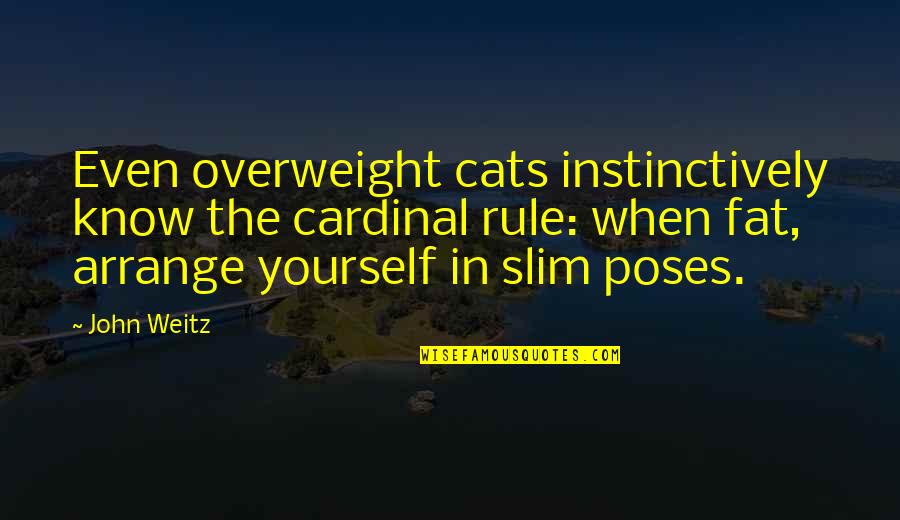 Overweight Quotes By John Weitz: Even overweight cats instinctively know the cardinal rule: