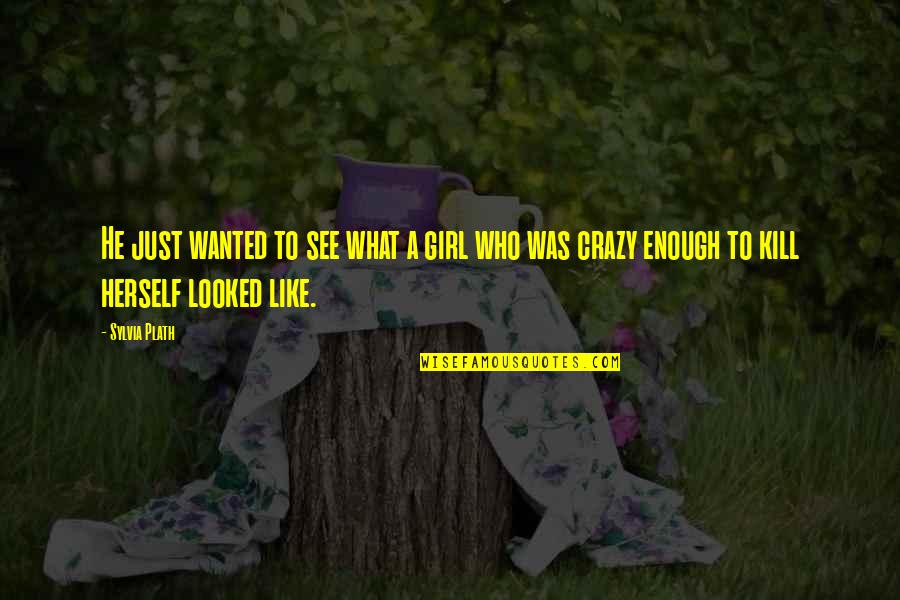 Overwriting In Java Quotes By Sylvia Plath: He just wanted to see what a girl