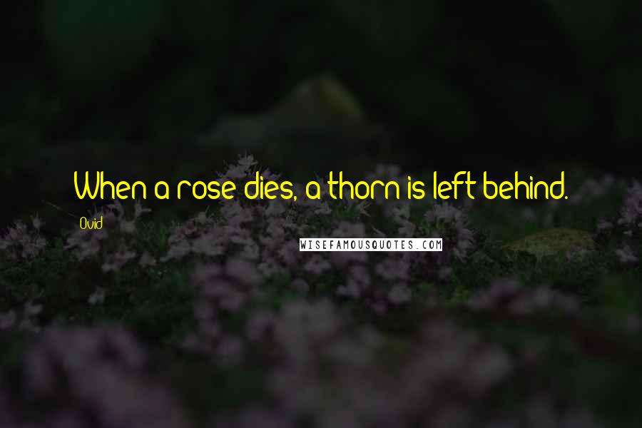 Ovid quotes: When a rose dies, a thorn is left behind.