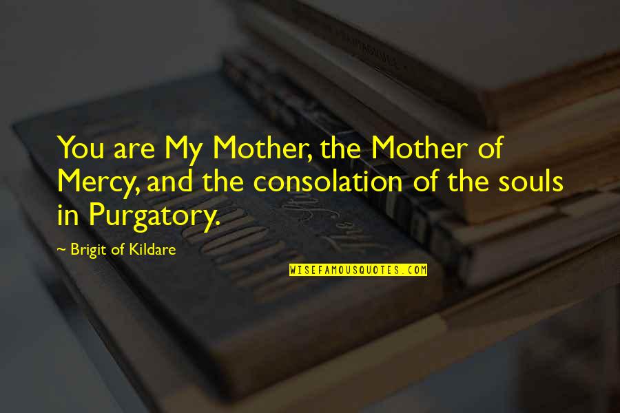 Ovoga Ili Quotes By Brigit Of Kildare: You are My Mother, the Mother of Mercy, Ovoga Ili Quotes By Brigit Of Kildare: You are My Mother, the Mother of Mercy,