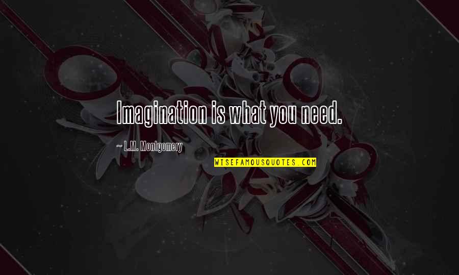 Owen Sleater Quotes By L.M. Montgomery: Imagination is what you need.