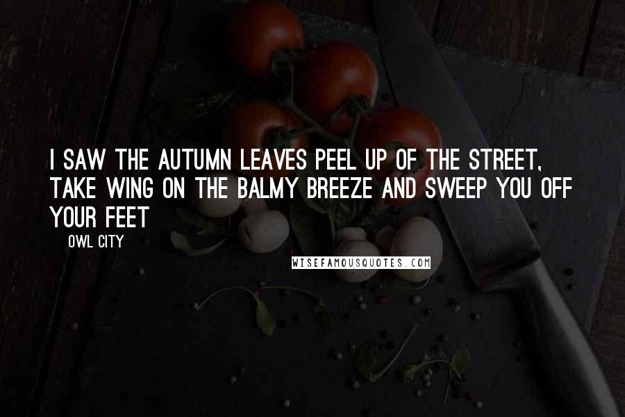 Owl City quotes: I saw the autumn leaves peel up of the street, Take wing on the balmy breeze and sweep you off your feet