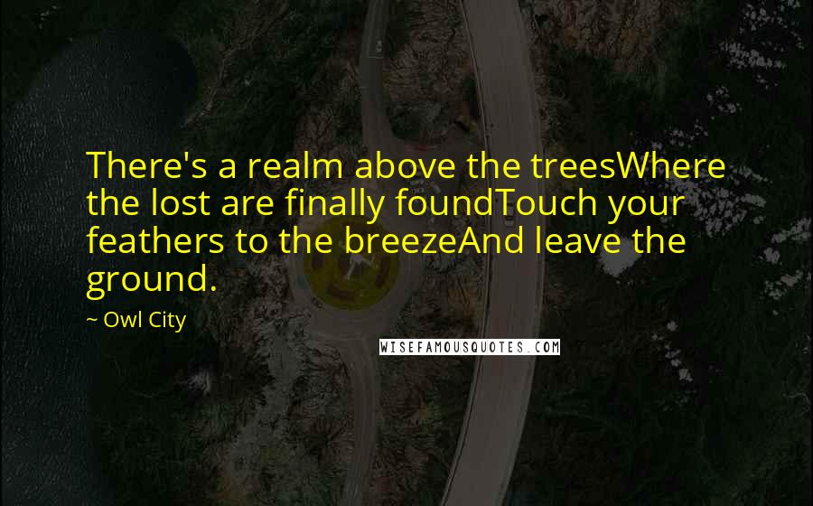 Owl City quotes: There's a realm above the treesWhere the lost are finally foundTouch your feathers to the breezeAnd leave the ground. Owl City quotes: There's a realm above the treesWhere the lost are finally foundTouch your feathers to the breezeAnd leave the ground.