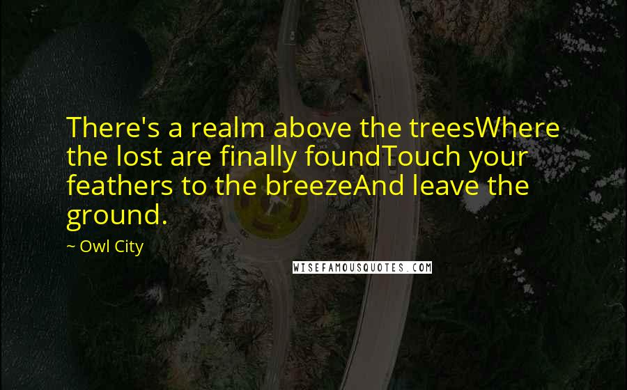 Owl City quotes: There's a realm above the treesWhere the lost are finally foundTouch your feathers to the breezeAnd leave the ground.