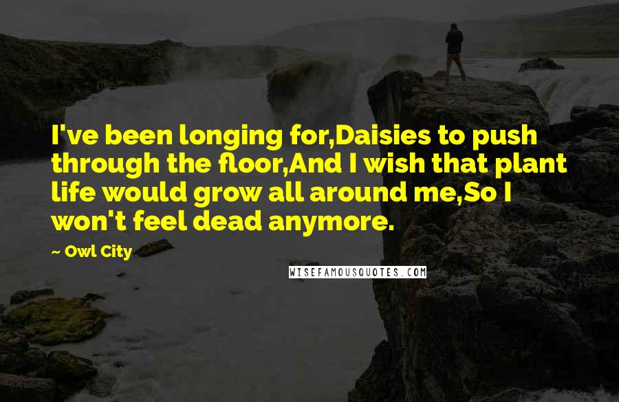 Owl City quotes: I've been longing for,Daisies to push through the floor,And I wish that plant life would grow all around me,So I won't feel dead anymore. Owl City quotes: I've been longing for,Daisies to push through the floor,And I wish that plant life would grow all around me,So I won't feel dead anymore.
