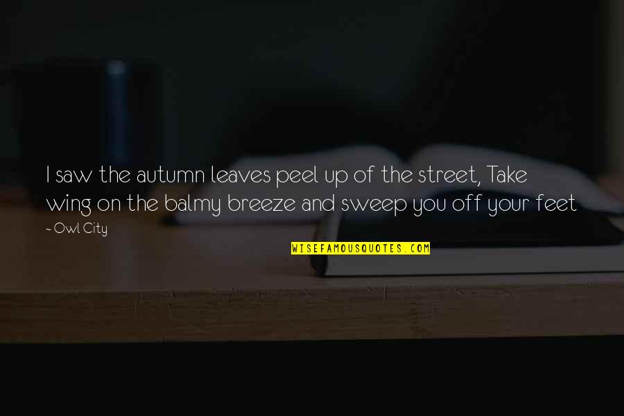 Owl City Quotes By Owl City: I saw the autumn leaves peel up of