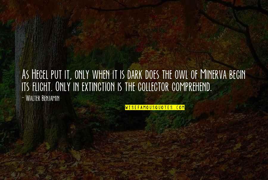 Owl Of Minerva Hegel Quotes By Walter Benjamin: As Hegel put it, only when it is Owl Of Minerva Hegel Quotes By Walter Benjamin: As Hegel put it, only when it is