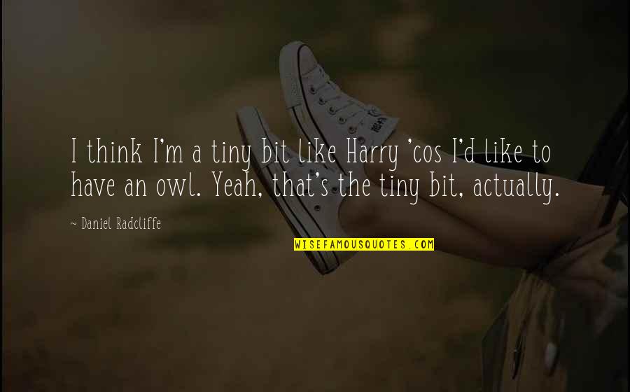 Owl Quotes By Daniel Radcliffe: I think I'm a tiny bit like Harry