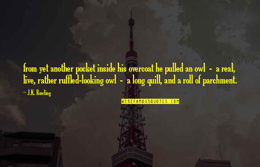 Owl Quotes By J.K. Rowling: from yet another pocket inside his overcoat he