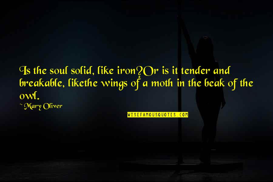 Owl Quotes By Mary Oliver: Is the soul solid, like iron?Or is it