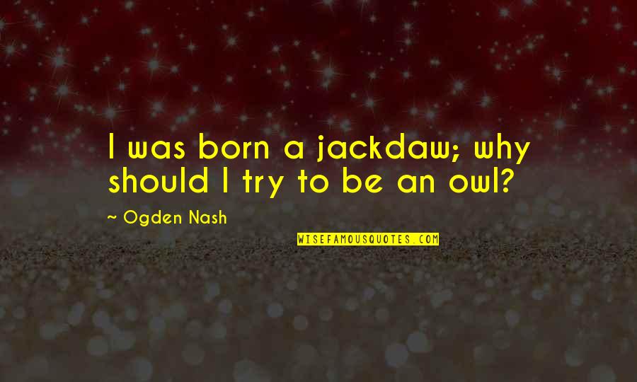 Owl Quotes By Ogden Nash: I was born a jackdaw; why should I