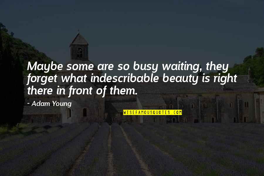 Owlcity Quotes By Adam Young: Maybe some are so busy waiting, they forget