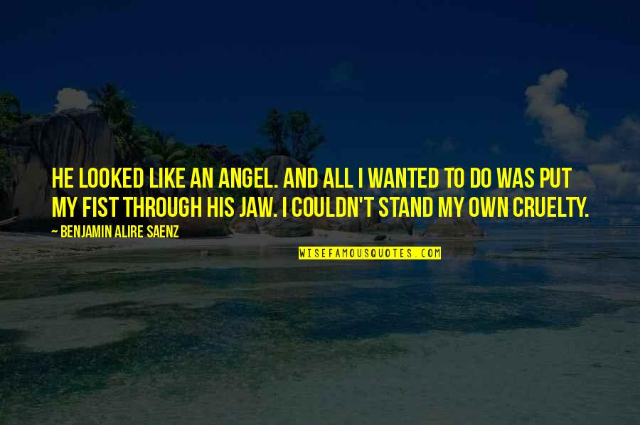 Owlkind Quotes By Benjamin Alire Saenz: He looked like an angel. And all I