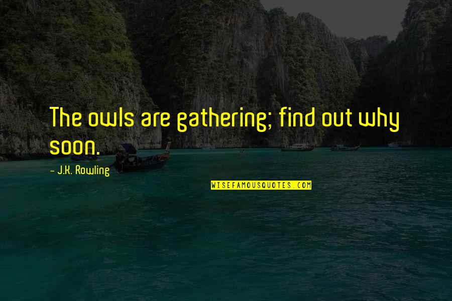 Owls Harry Potter Quotes By J.K. Rowling: The owls are gathering; find out why soon. Owls Harry Potter Quotes By J.K. Rowling: The owls are gathering; find out why soon.