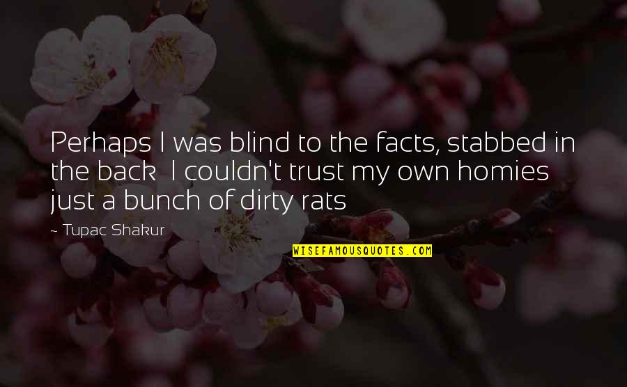 Own Back Quotes By Tupac Shakur: Perhaps I was blind to the facts, stabbed