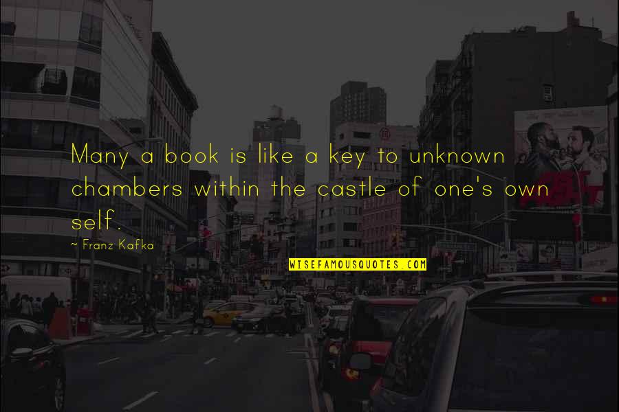 Own Book Quotes By Franz Kafka: Many a book is like a key to