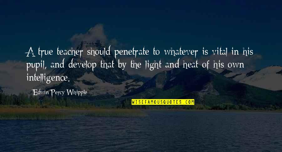 Own Light Quotes By Edwin Percy Whipple: A true teacher should penetrate to whatever is