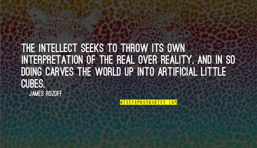 Own Little World Quotes By James Rozoff: The intellect seeks to throw its own interpretation