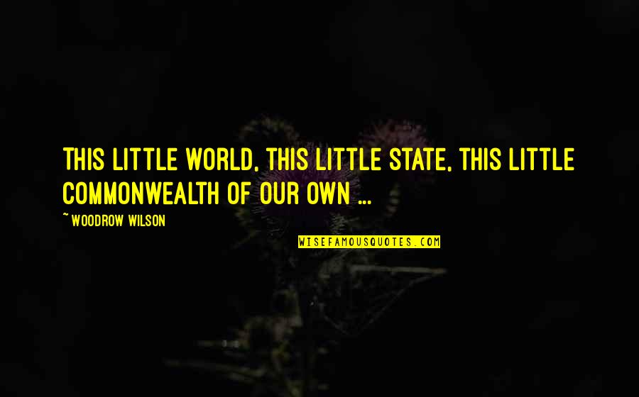 Own Little World Quotes By Woodrow Wilson: This little world, this little state, this little
