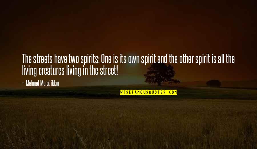 Own Spirit Quotes By Mehmet Murat Ildan: The streets have two spirits: One is its