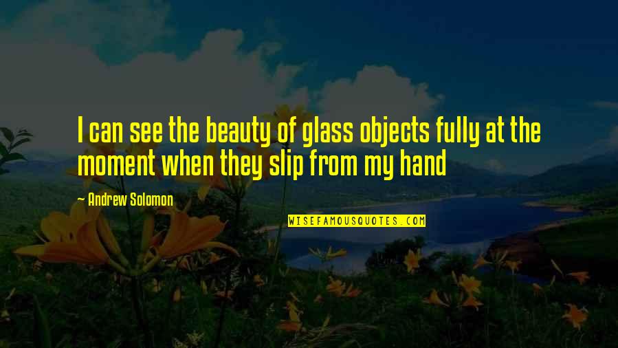 Own The Moment Fully Quotes By Andrew Solomon: I can see the beauty of glass objects