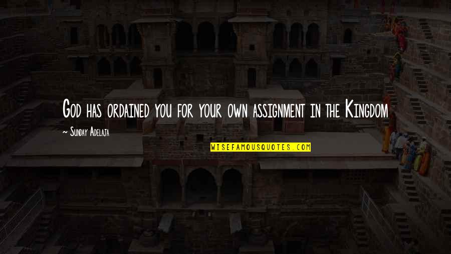 Own Your Crown Quotes By Sunday Adelaja: God has ordained you for your own assignment