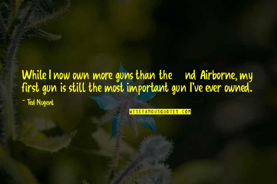 Owned Quotes By Ted Nugent: While I now own more guns than the