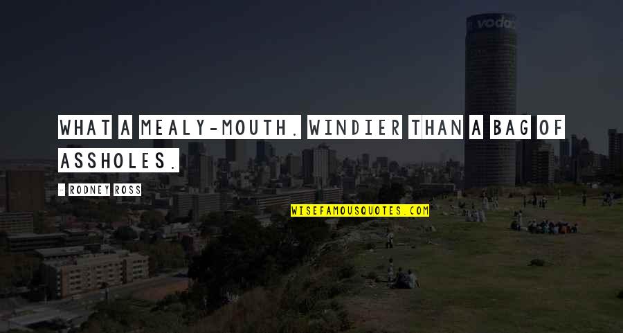 Owner And Dog Quotes By Rodney Ross: What a mealy-mouth. Windier than a bag of Owner And Dog Quotes By Rodney Ross: What a mealy-mouth. Windier than a bag of
