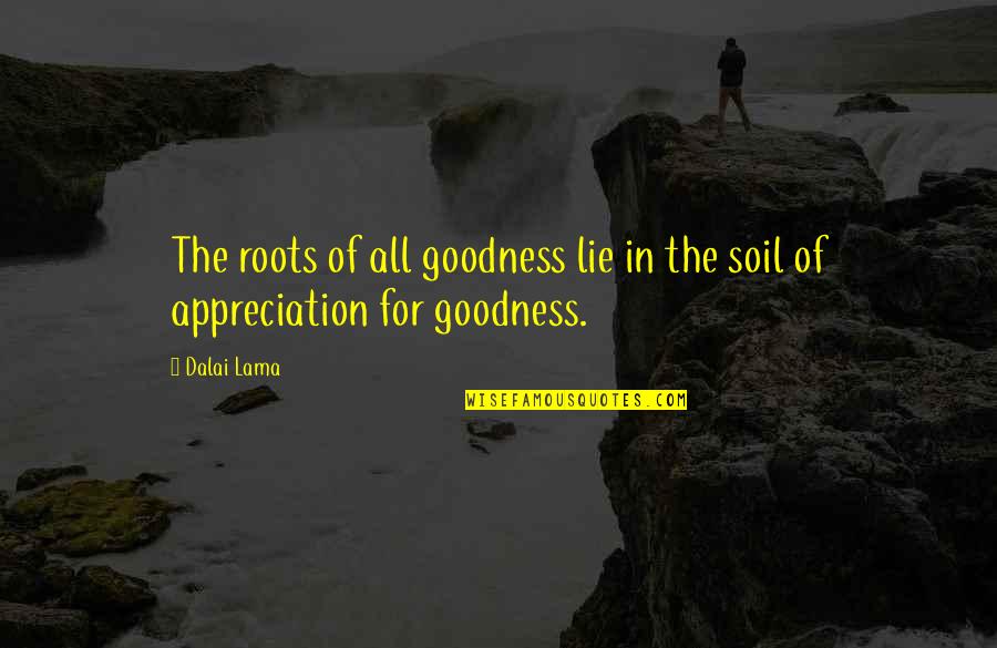 Oxidize Quotes By Dalai Lama: The roots of all goodness lie in the