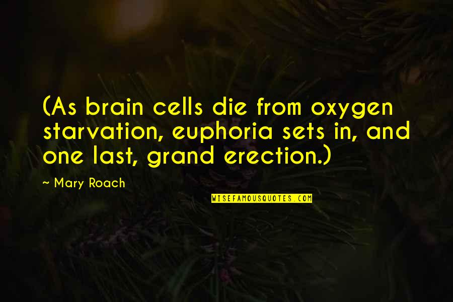 Oxygen's Quotes By Mary Roach: (As brain cells die from oxygen starvation, euphoria