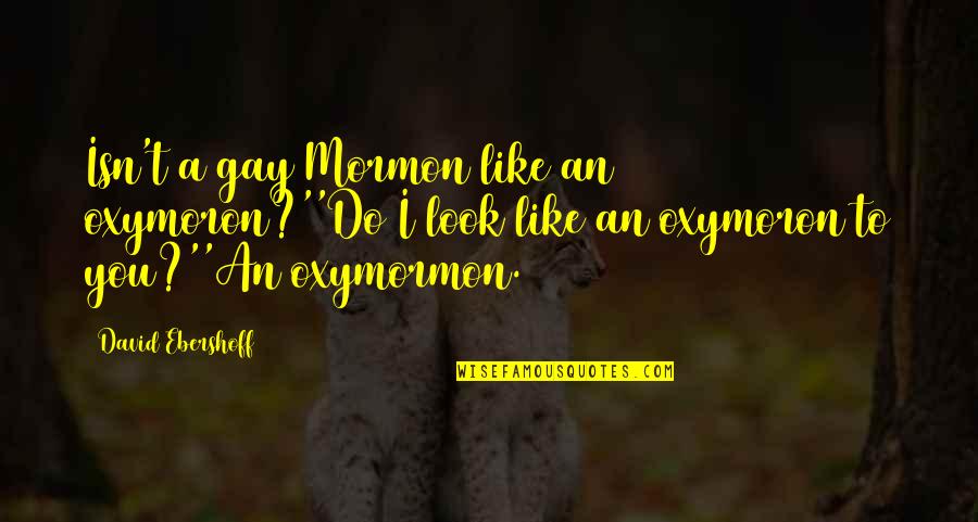 Oxymormon Quotes By David Ebershoff: Isn't a gay Mormon like an oxymoron?''Do I