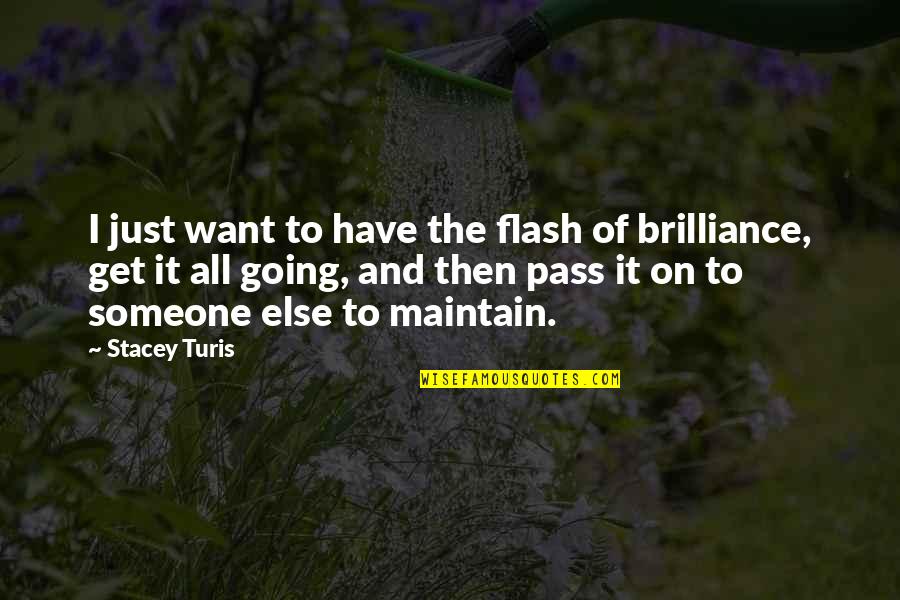 Oxymoronic Quotes By Stacey Turis: I just want to have the flash of