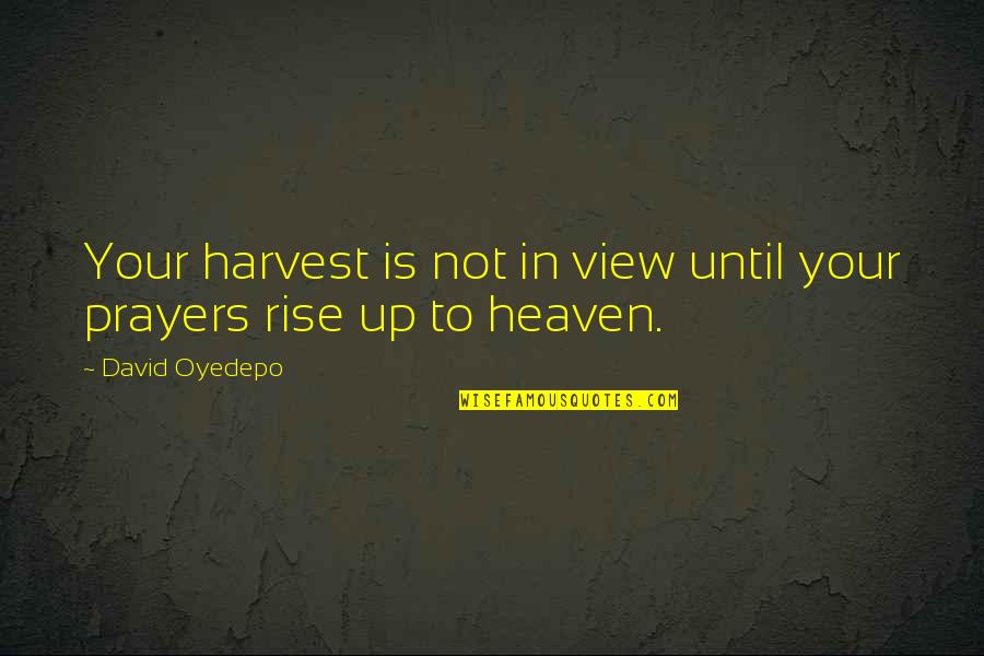 Oyedepo David Quotes By David Oyedepo: Your harvest is not in view until your