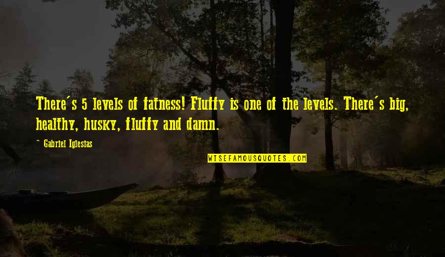 Oyespa Quotes By Gabriel Iglesias: There's 5 levels of fatness! Fluffy is one
