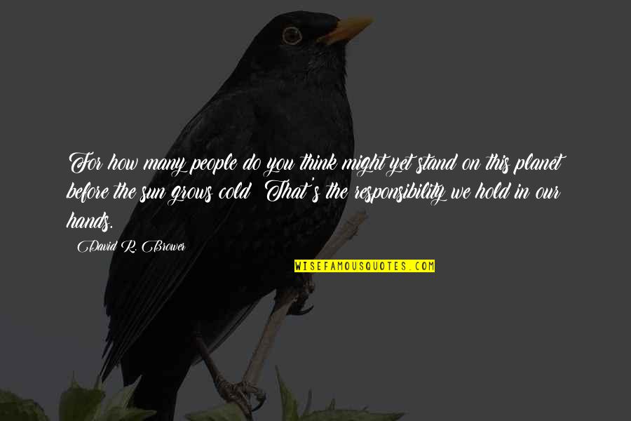 Oynayan Kedi Quotes By David R. Brower: For how many people do you think might Oynayan Kedi Quotes By David R. Brower: For how many people do you think might