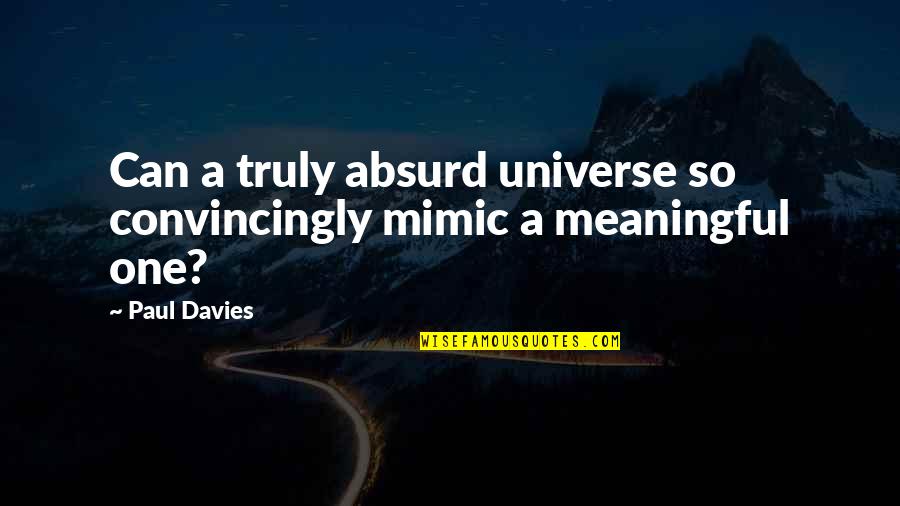 Oyunun Yildizlari Quotes By Paul Davies: Can a truly absurd universe so convincingly mimic