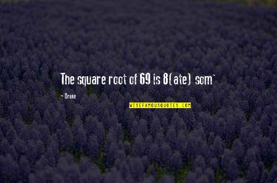 P 69 Quotes By Drake: The square root of 69 is 8(ate) som'