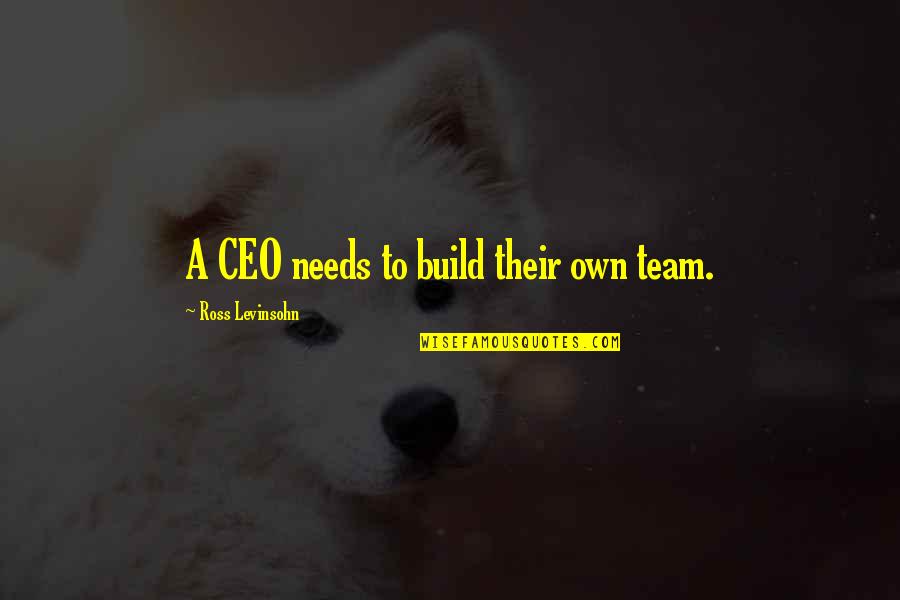 P&g Ceo Quotes By Ross Levinsohn: A CEO needs to build their own team.