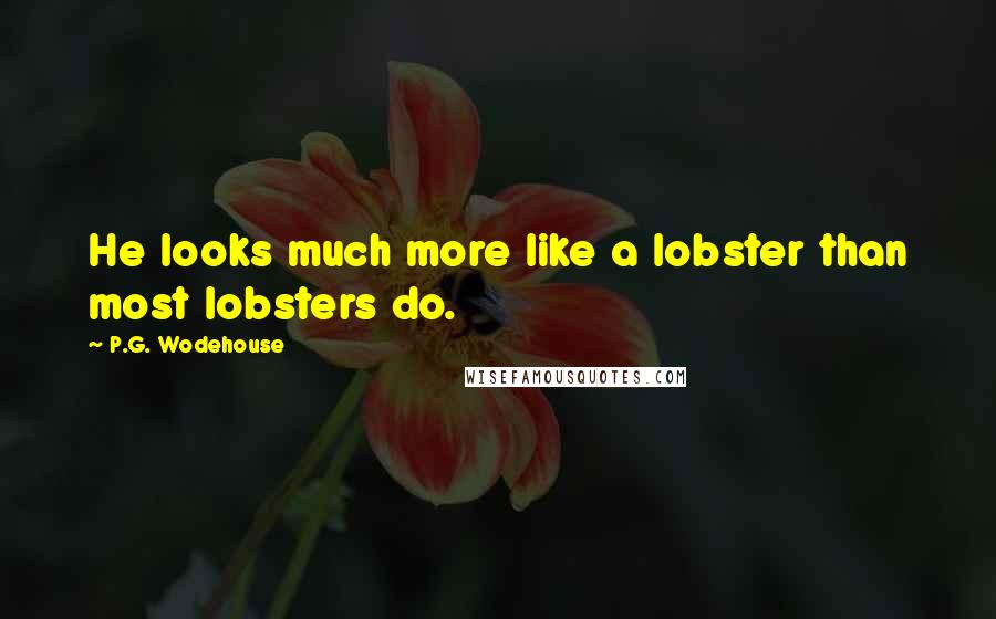 P.G. Wodehouse quotes: He looks much more like a lobster than most lobsters do.