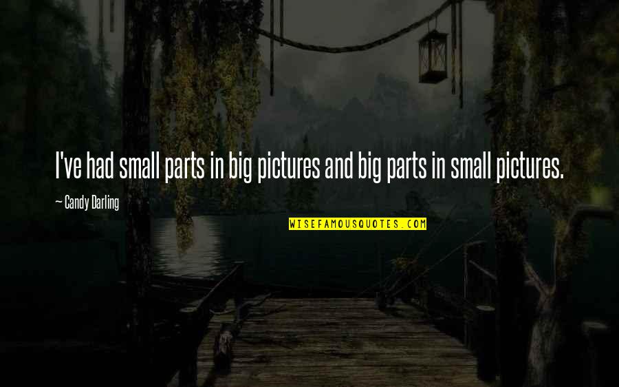 P Ginas Amarillas Quotes By Candy Darling: I've had small parts in big pictures and