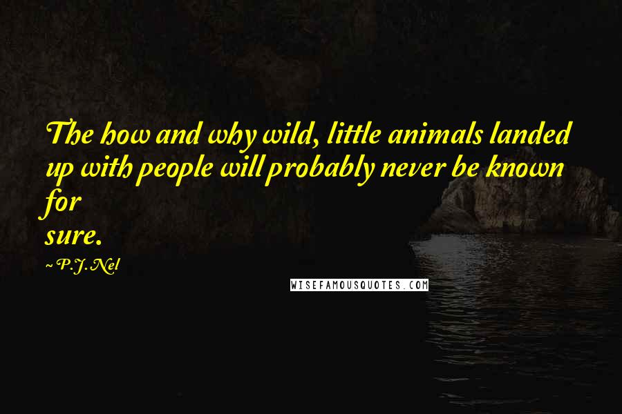 P.J. Nel quotes: The how and why wild, little animals landed up with people will probably never be known for sure.