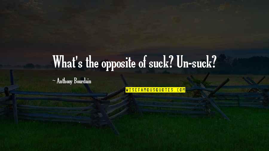 P1289 Quotes By Anthony Bourdain: What's the opposite of suck? Un-suck? P1289 Quotes By Anthony Bourdain: What's the opposite of suck? Un-suck?