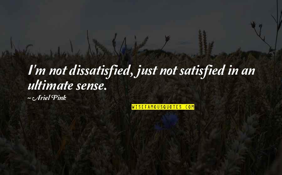 P2440 Quotes By Ariel Pink: I'm not dissatisfied, just not satisfied in an