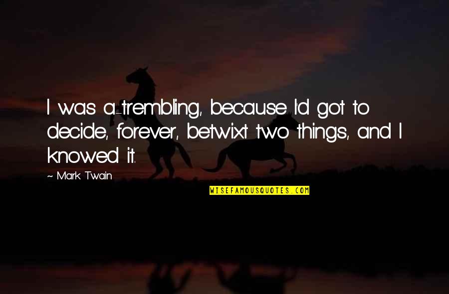 P46t Quotes By Mark Twain: I was a-trembling, because I'd got to decide,