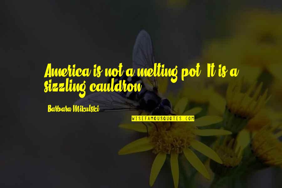 P621730 Quotes By Barbara Mikulski: America is not a melting pot. It is P621730 Quotes By Barbara Mikulski: America is not a melting pot. It is