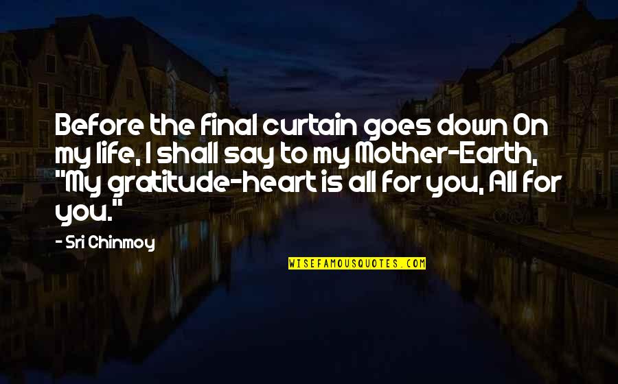 P653605 Quotes By Sri Chinmoy: Before the final curtain goes down On my