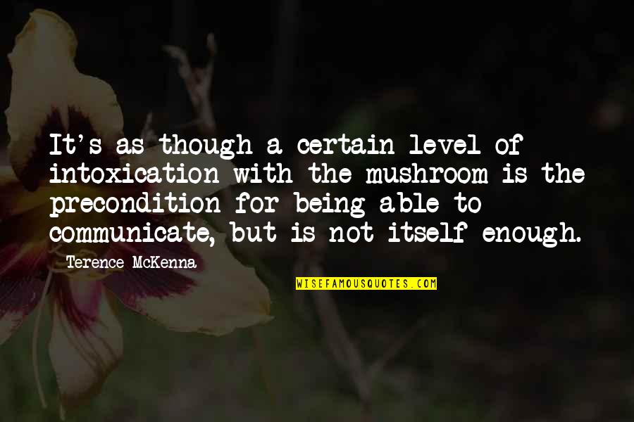 P811x Quotes By Terence McKenna: It's as though a certain level of intoxication